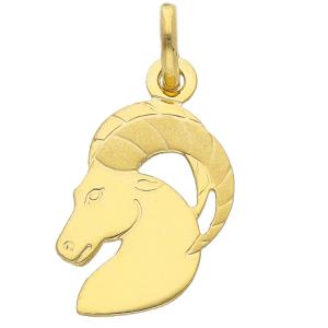 Ciondolo Oroscopo - segno zodiacale - in oro giallo CAPRICORNO - gallery