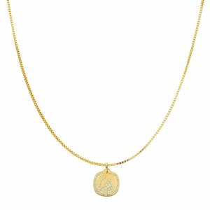 Collana con ciondolo segno zodiacale Acquario in oro giallo