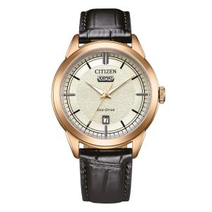 Orologio Da Uomo Citizen Eco Drive Day Date AW0153-04A - gallery