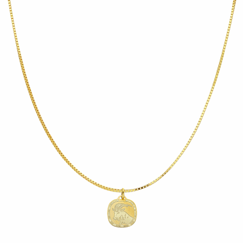 Collana con ciondolo segno zodiacale Capricorno in oro giallo