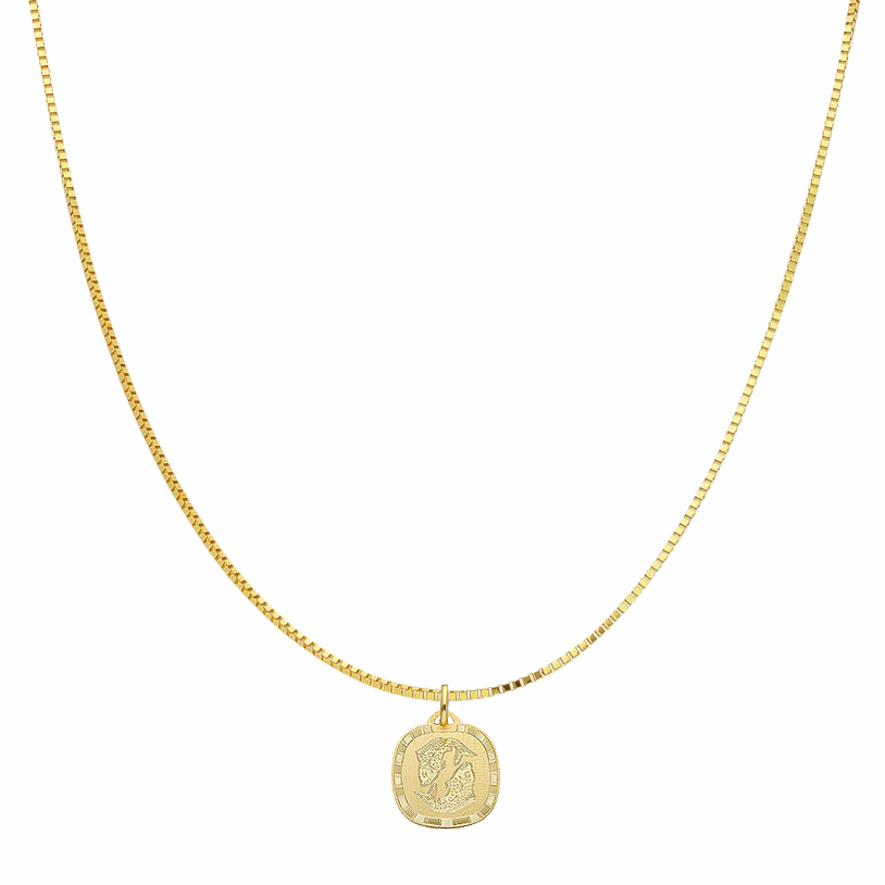 Collana con ciondolo segno zodiacale Pesci in oro giallo