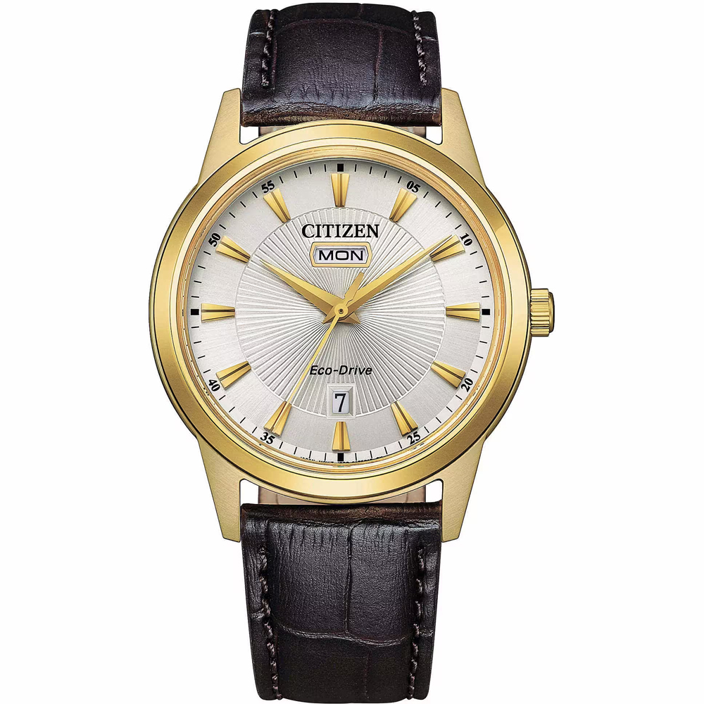 Orologio uomo CITIZEN Classic solo tempo pelle AW0102-13A